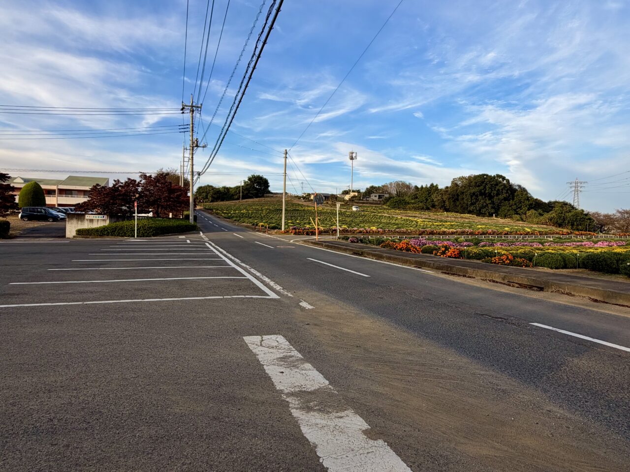 2026年10月17日あかぼり小菊の里駐車場