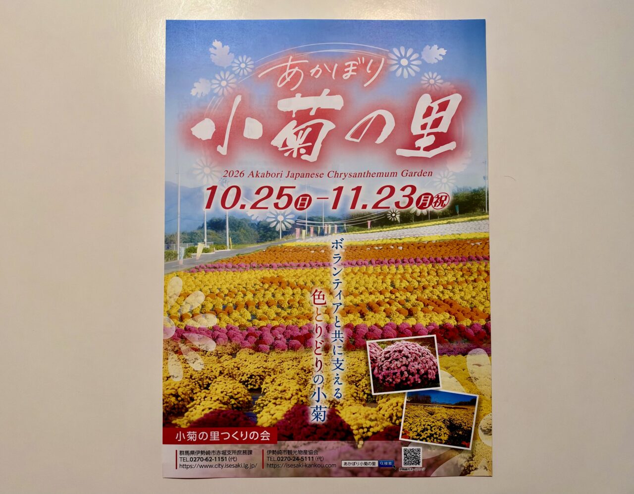 2026年10月17日あかぼり小菊の里チラシ